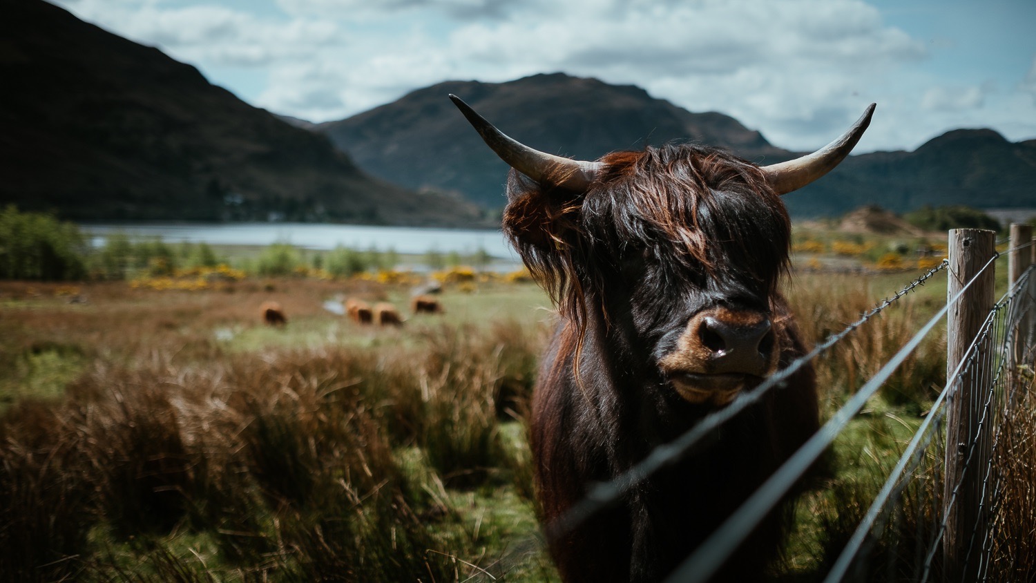 0041-scotland-tamron-le monde de la photo-paysage-20190509132614-compress.jpg