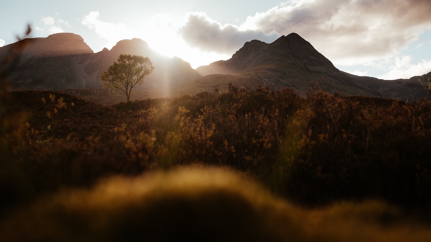 0068-scotland-tamron-le monde de la photo-paysage-20190510202015-compress.jpg