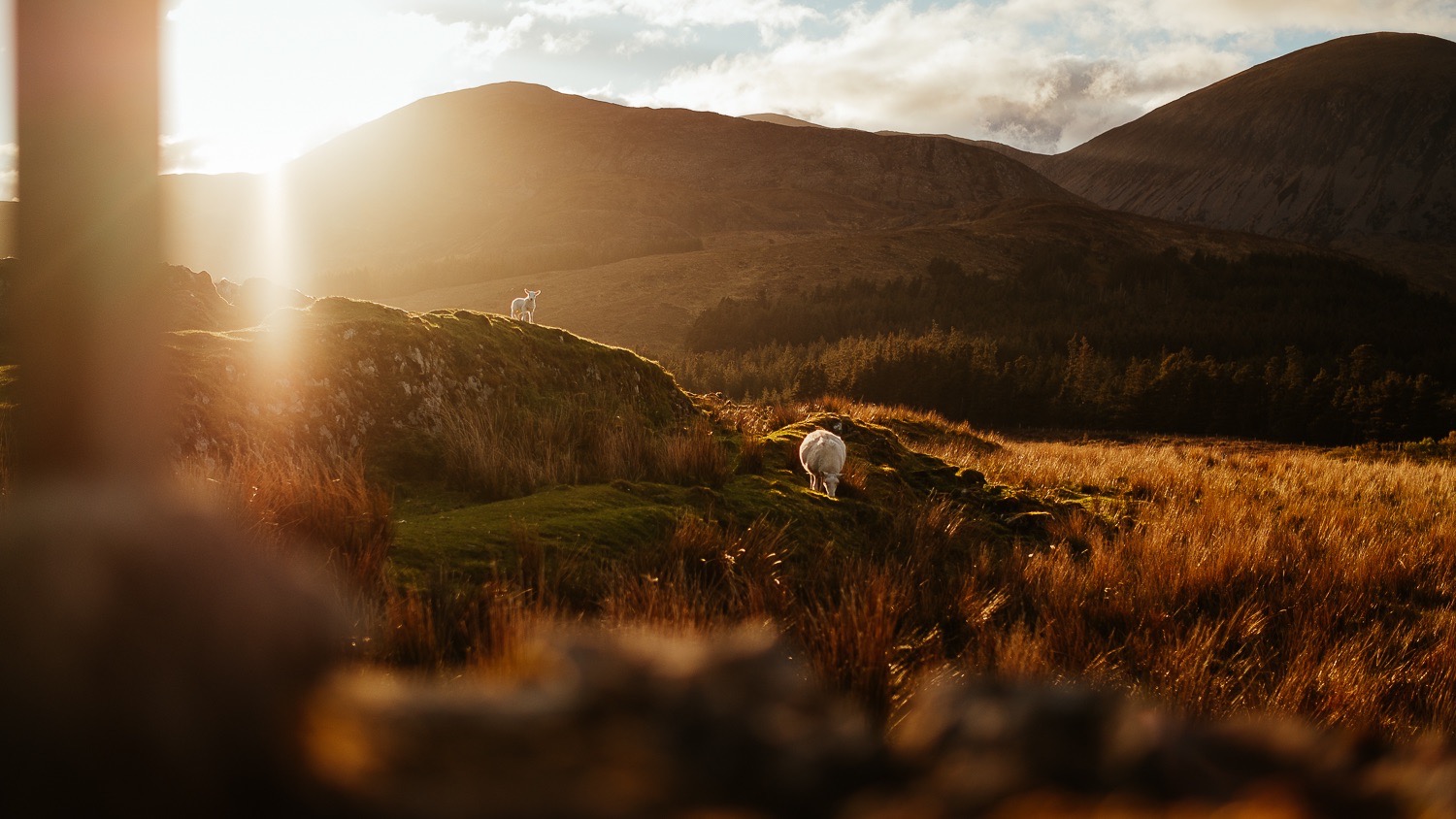 0071-scotland-tamron-le monde de la photo-paysage-20190510204807-compress.jpg