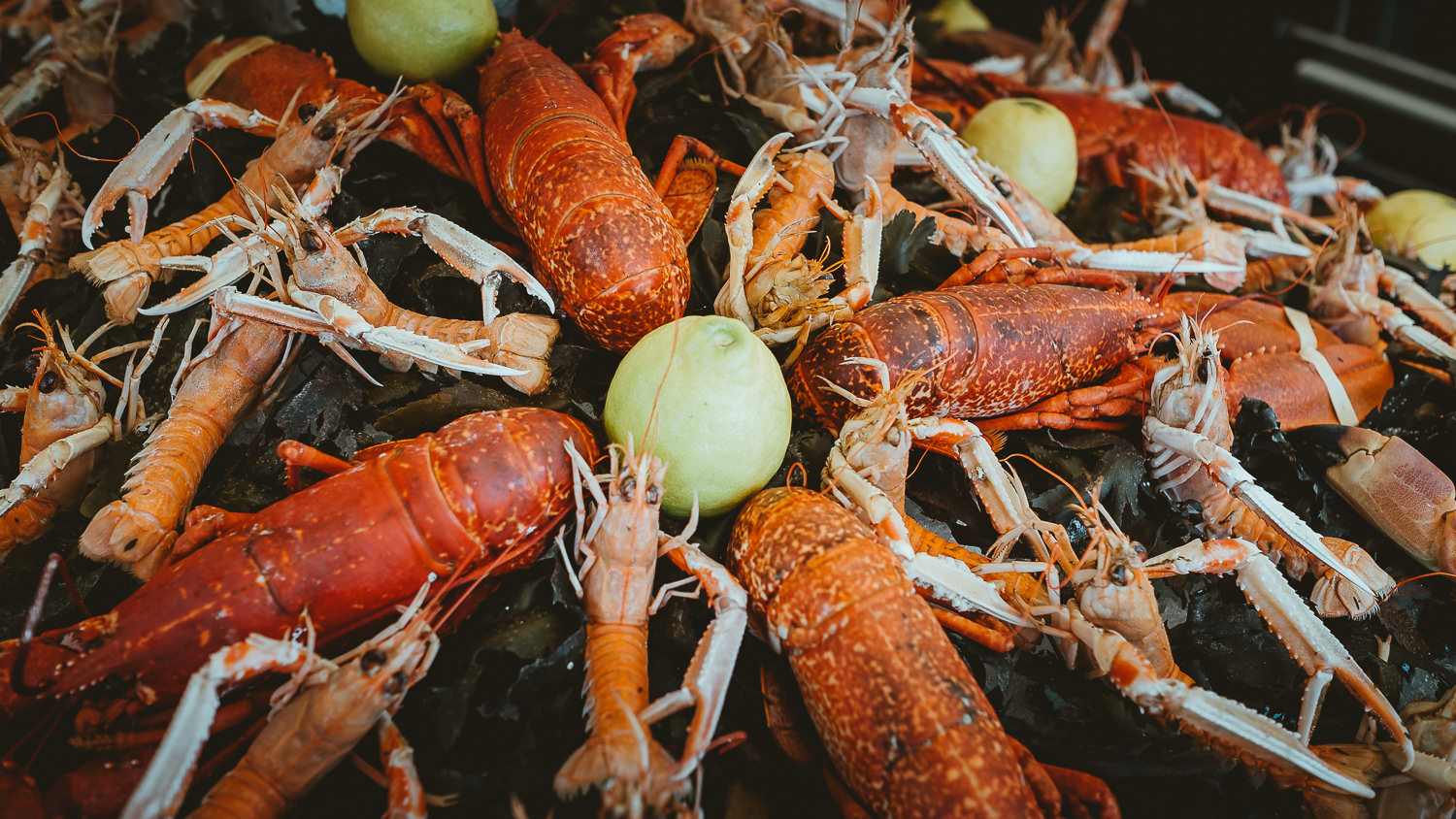 0016-restaurant-la grenouille-honfleur-20190717112421.jpg