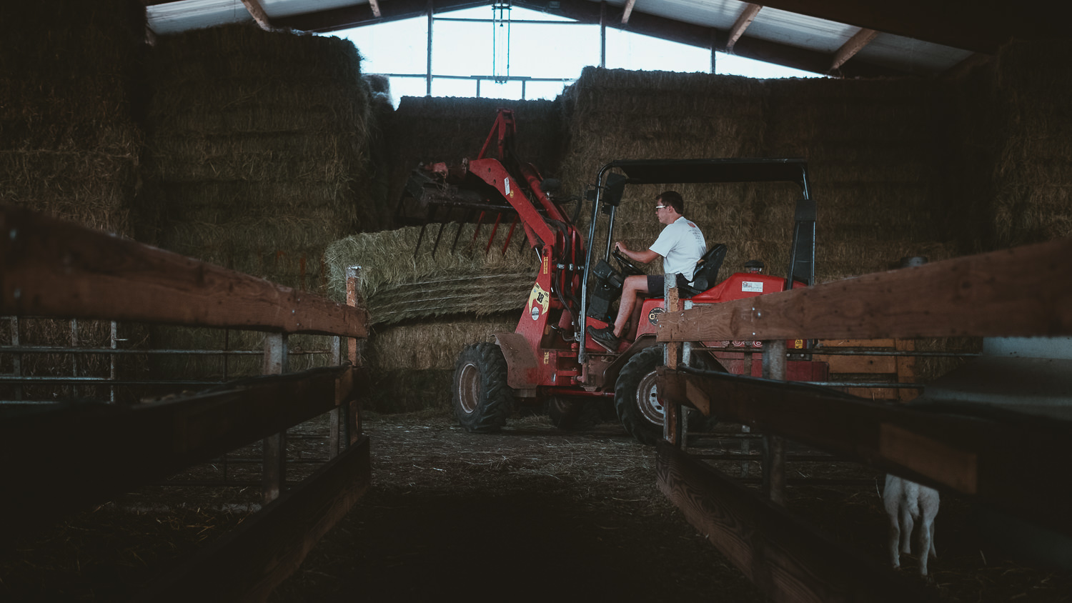 0043-reportage photo-ferme-fromage-la caprovine-20180819072740.jpg