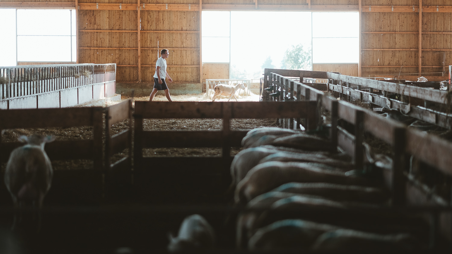 0051-reportage photo-ferme-fromage-la caprovine-20180819080520.jpg