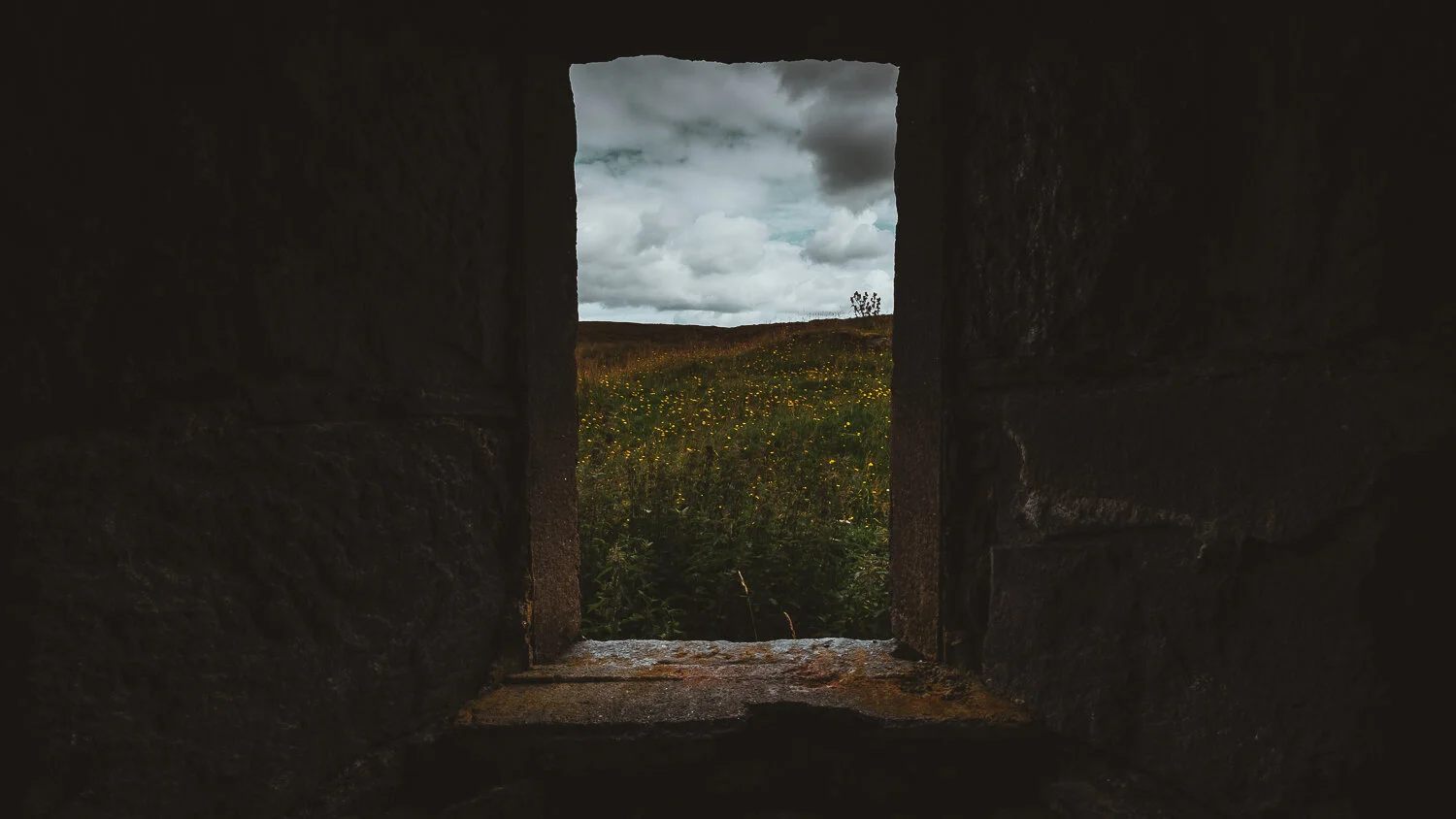 0013-ecosse-highland-nord-20190812131709.jpg