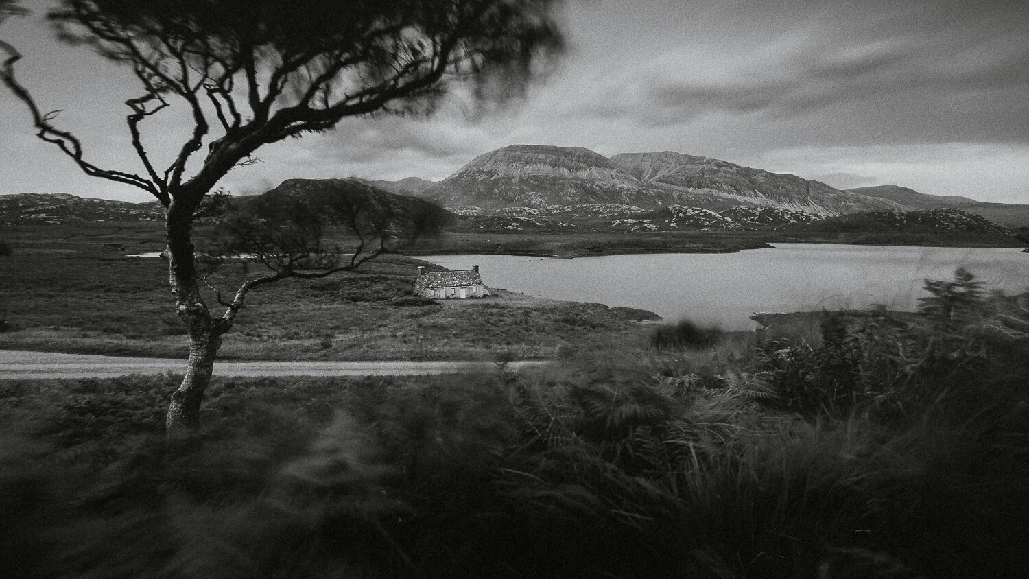 0092-ecosse-highland-nord-20190817171230.jpg