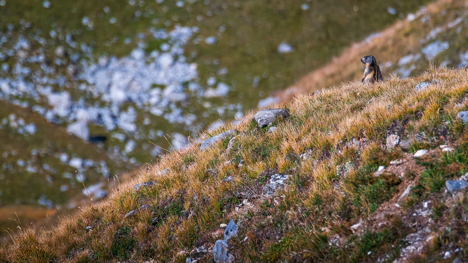 0015-stage-photo-vanoise-septembre-20190915090157.jpg