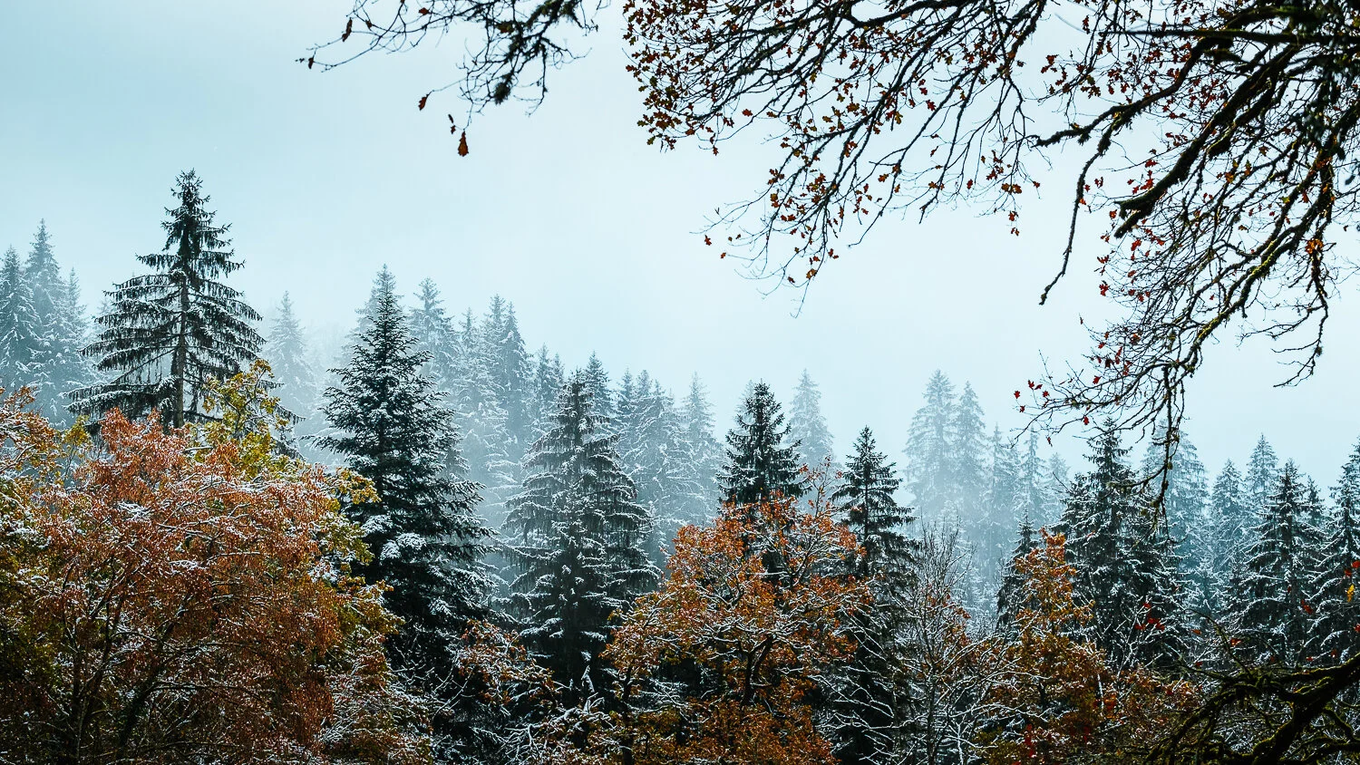 0006-savoie-premiere-neige-20191118121626.jpg