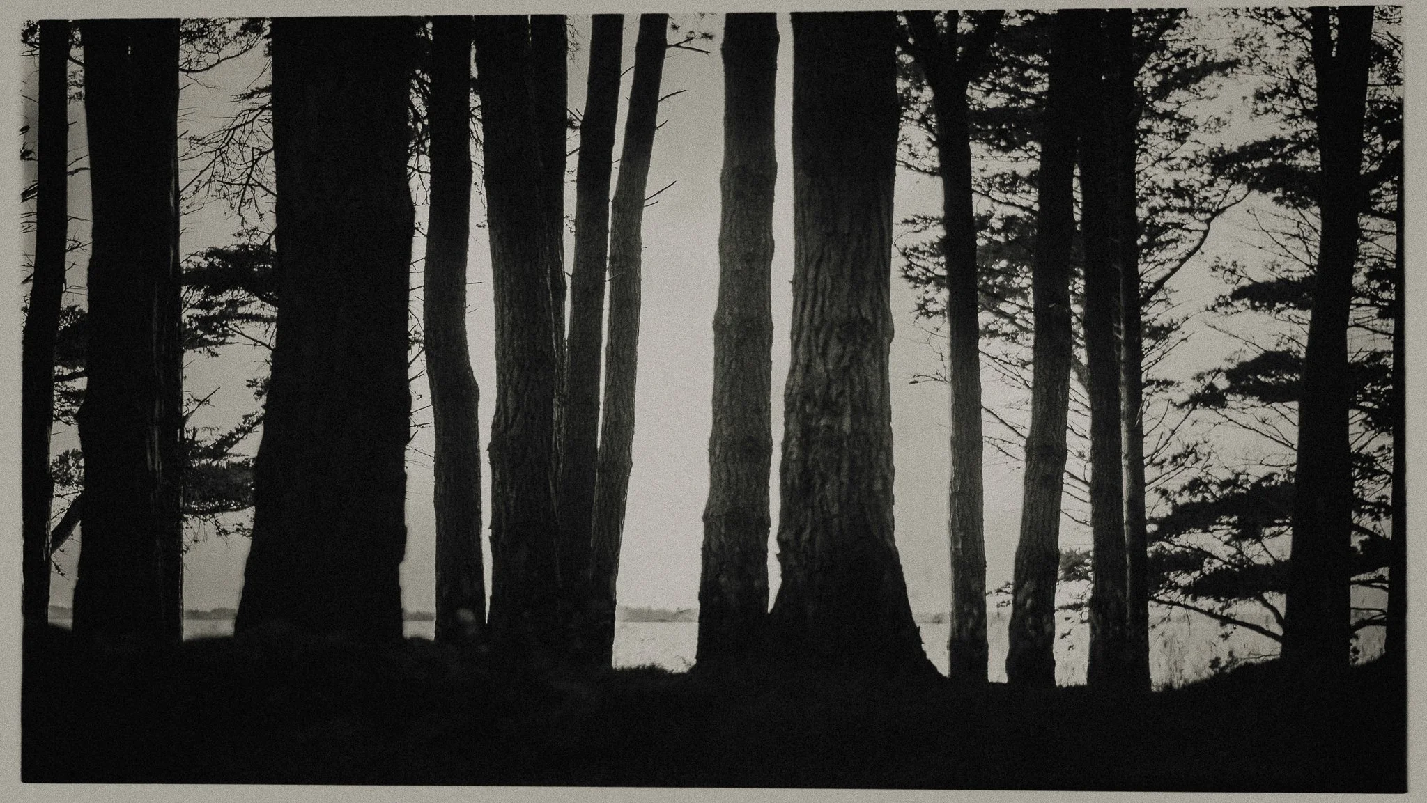 0016-20210823204526-photographe-seance-photo-famille-morbihan.jpg