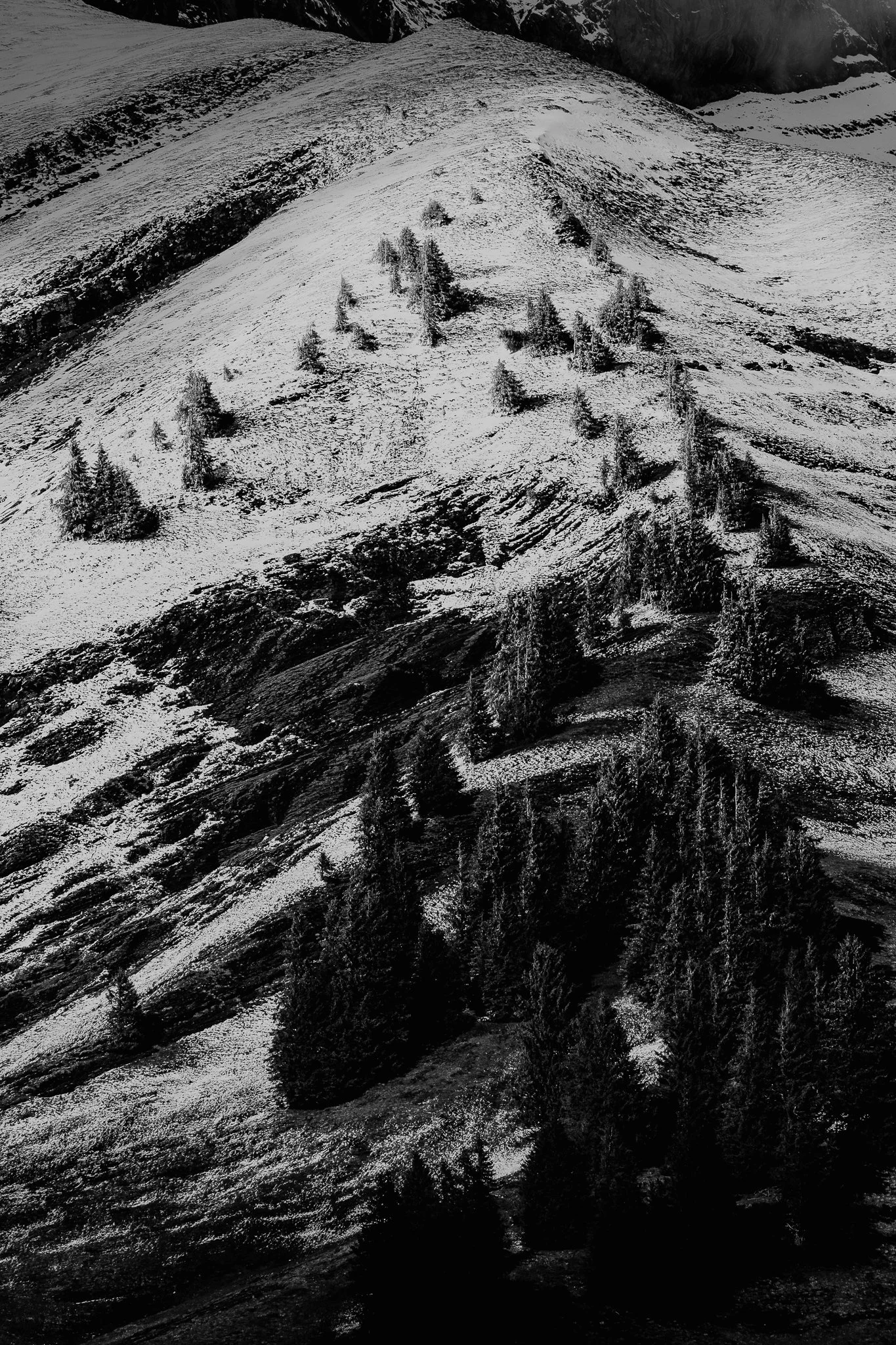 0005-20260512170603-seance-couple-col-des-aravis.jpg