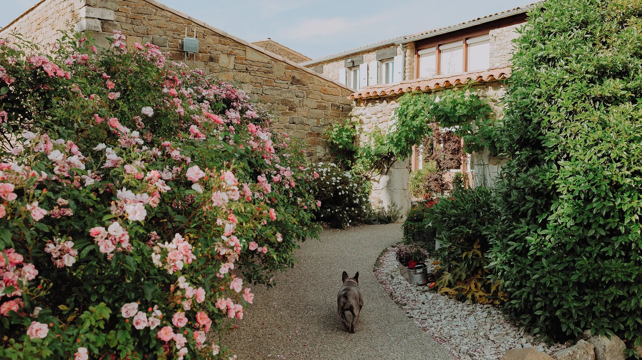 0001-20260530174913-mariage-domaine-damian-vesc.jpg