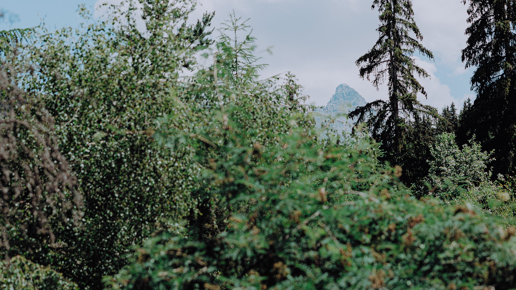 0023-photographe-bapteme-savoie.jpg