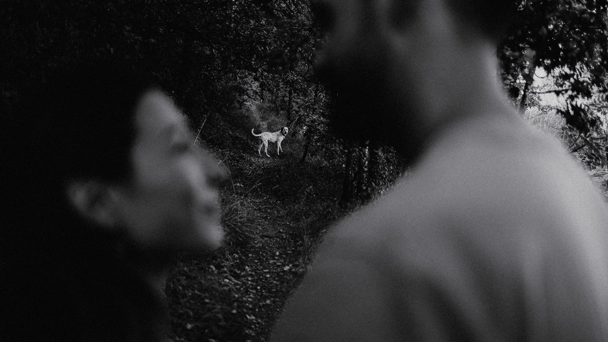 0005-seance-couple-venon-grenoble.jpg