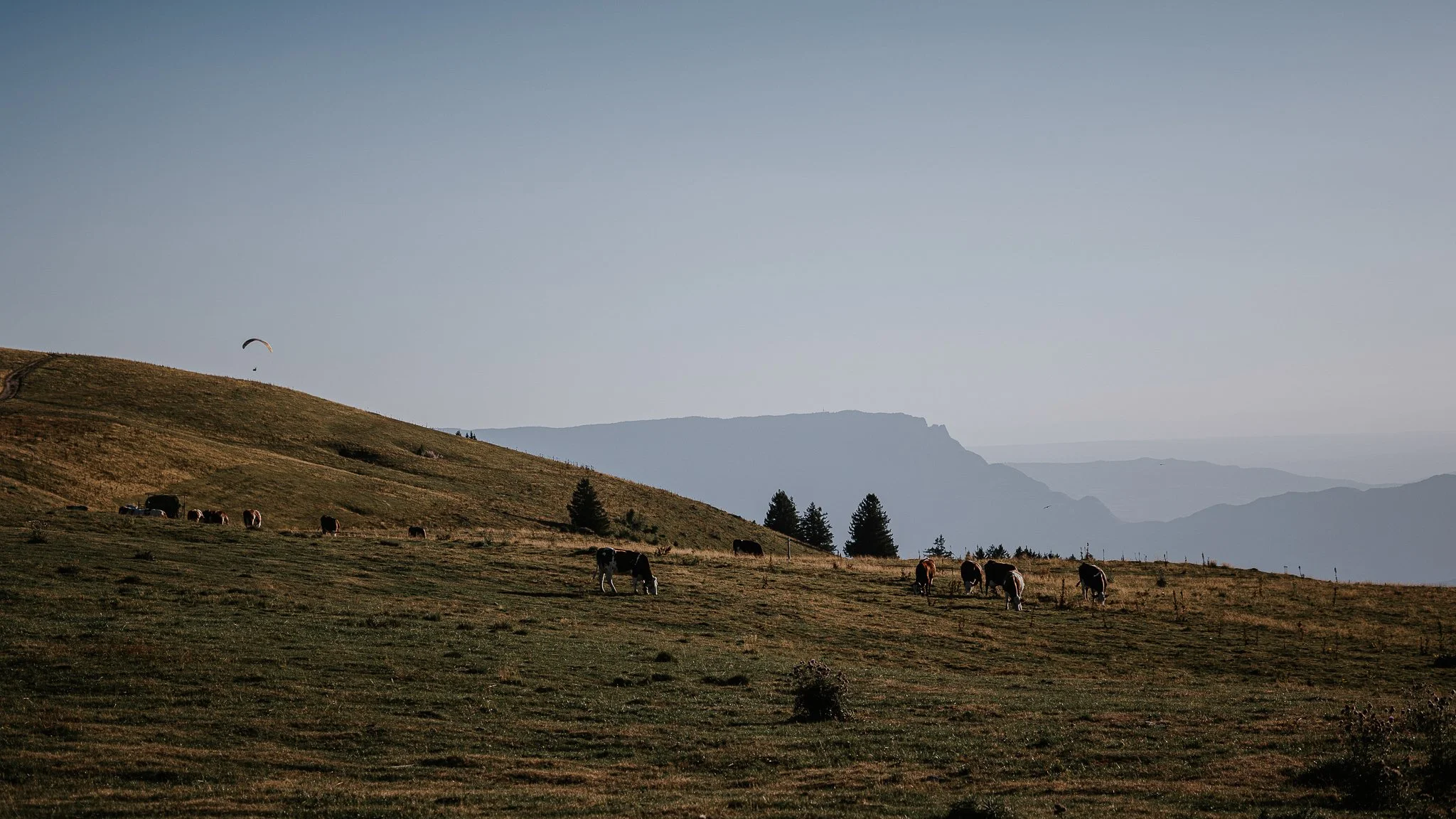 0002-seance-couple-semnoz-haute-savoie.jpg