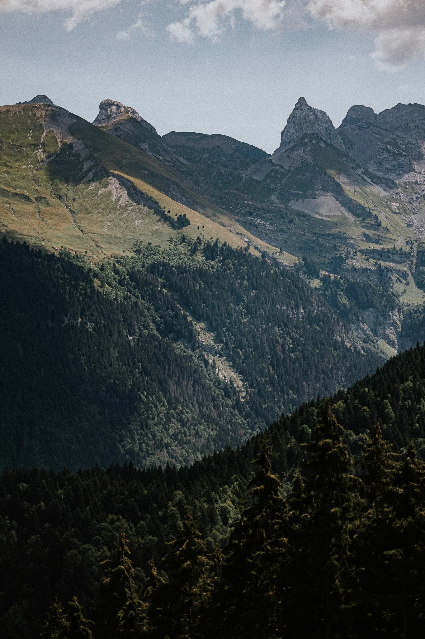 0002-mariage-gite-du-passant-haute-savoie.jpg