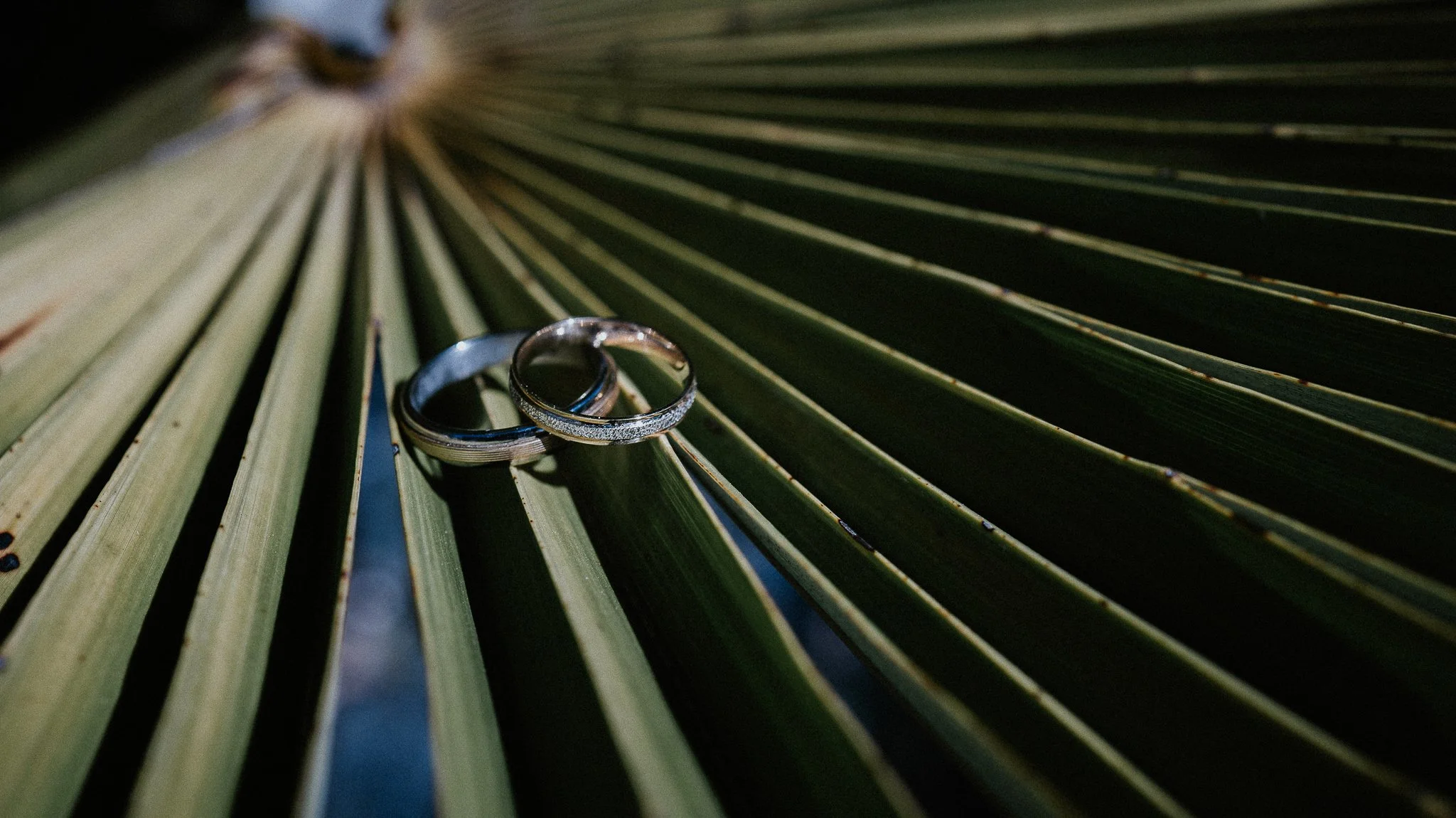 0011-mariage-l'etang-de-la-tourne.jpg