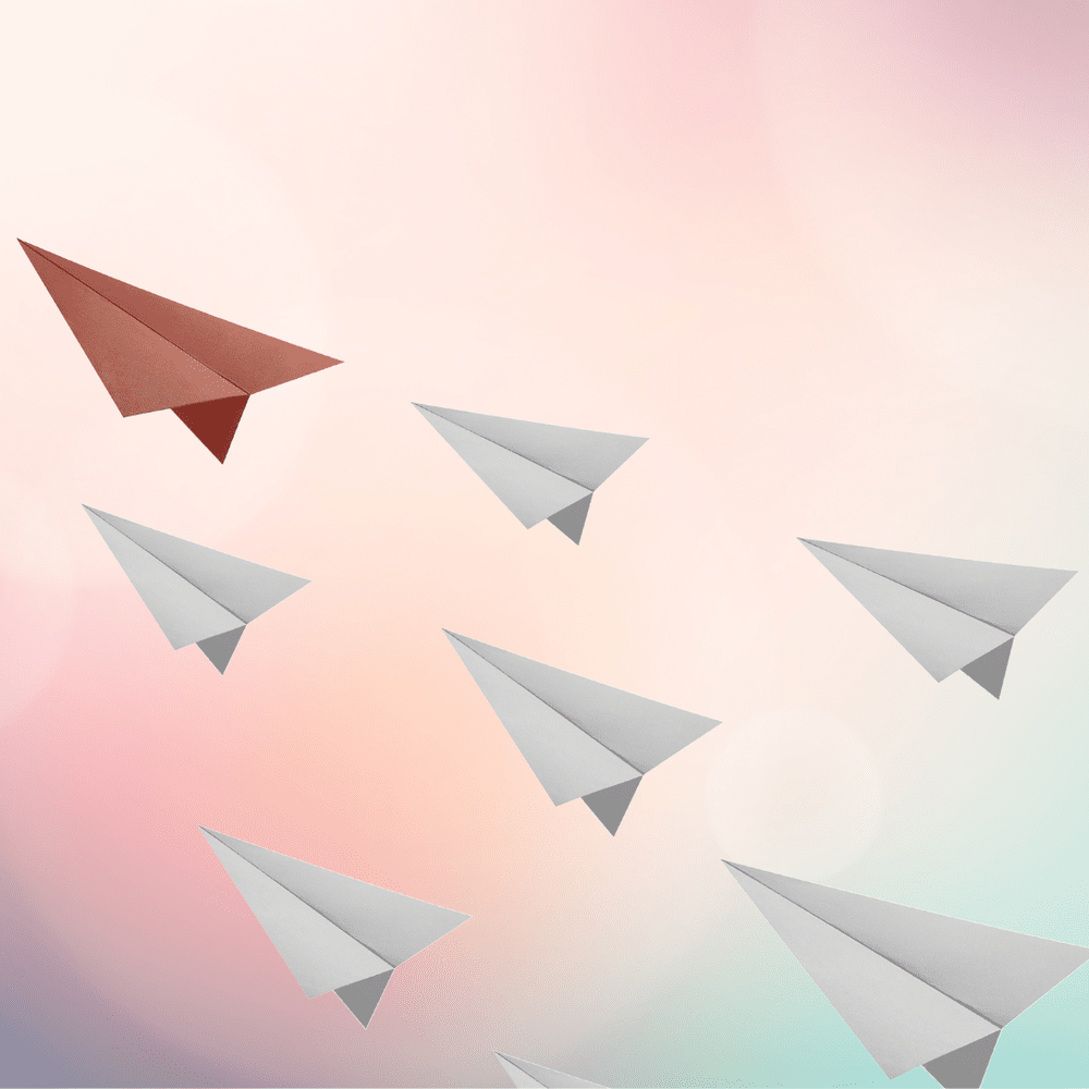 Online Course Catalog — Tennessee Nonprofit Network