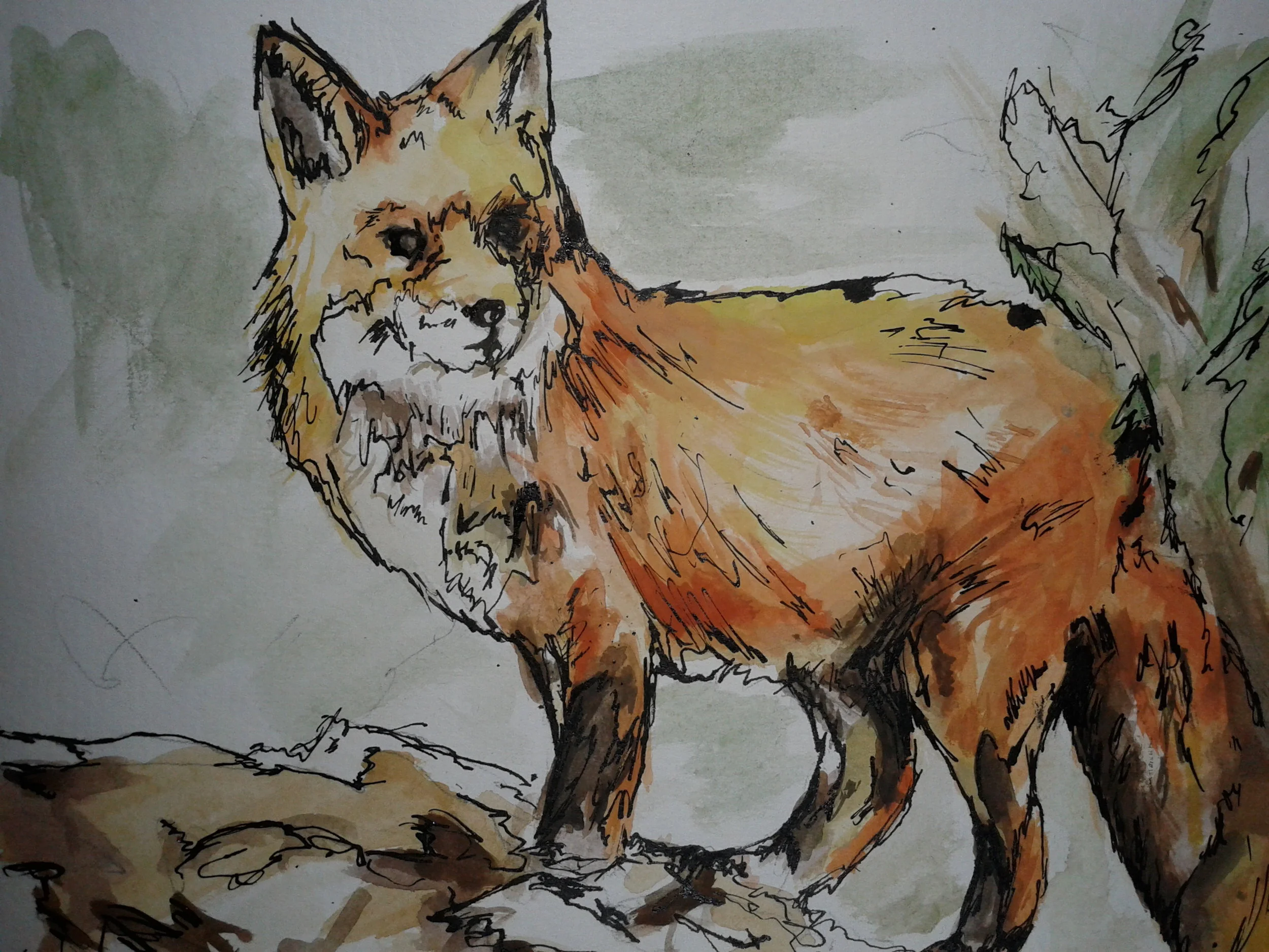 20140831_222850.jpg