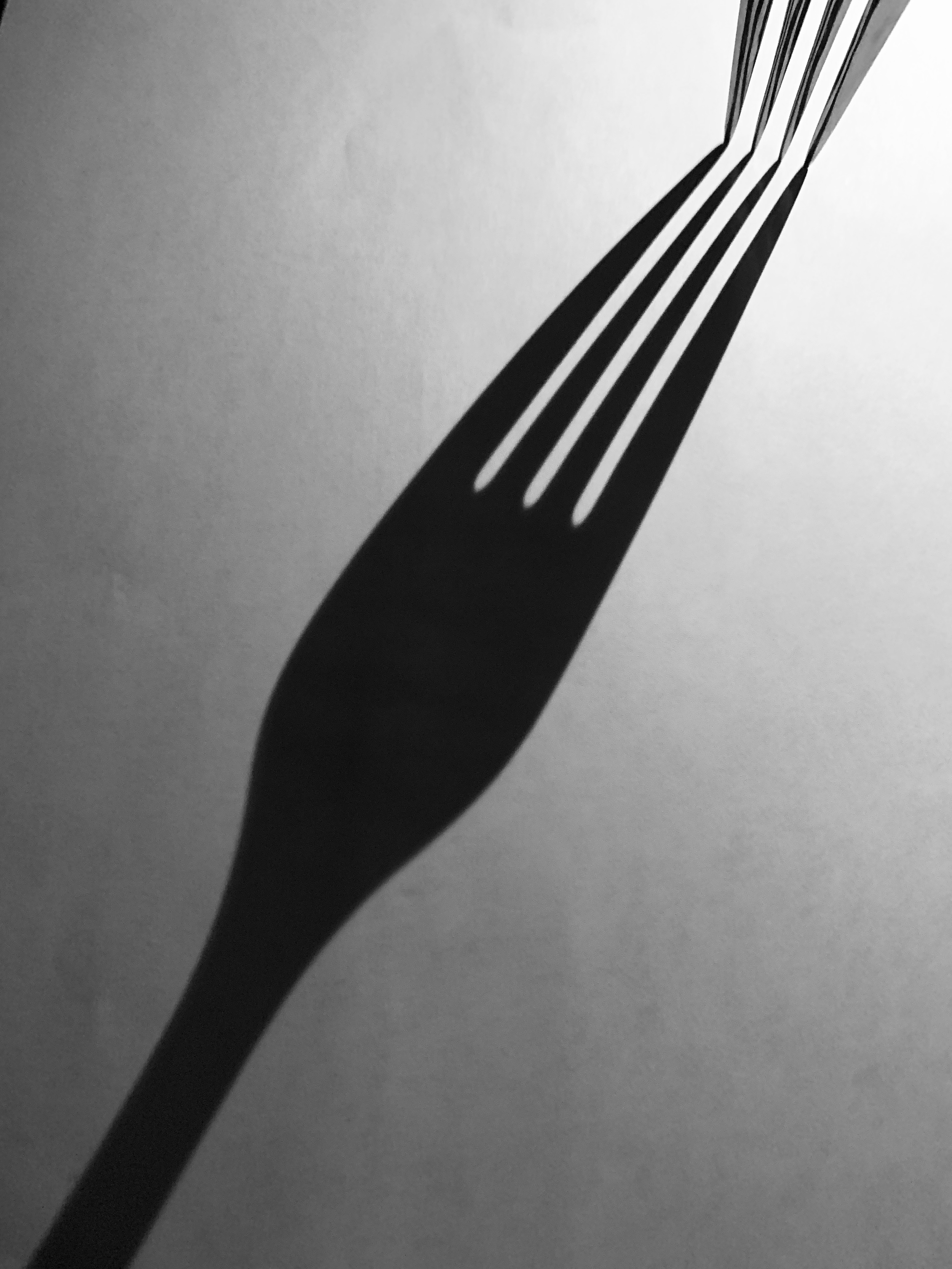 The Art of the Shadow (Jun 5- 2020 at 9-27 PM).JPG