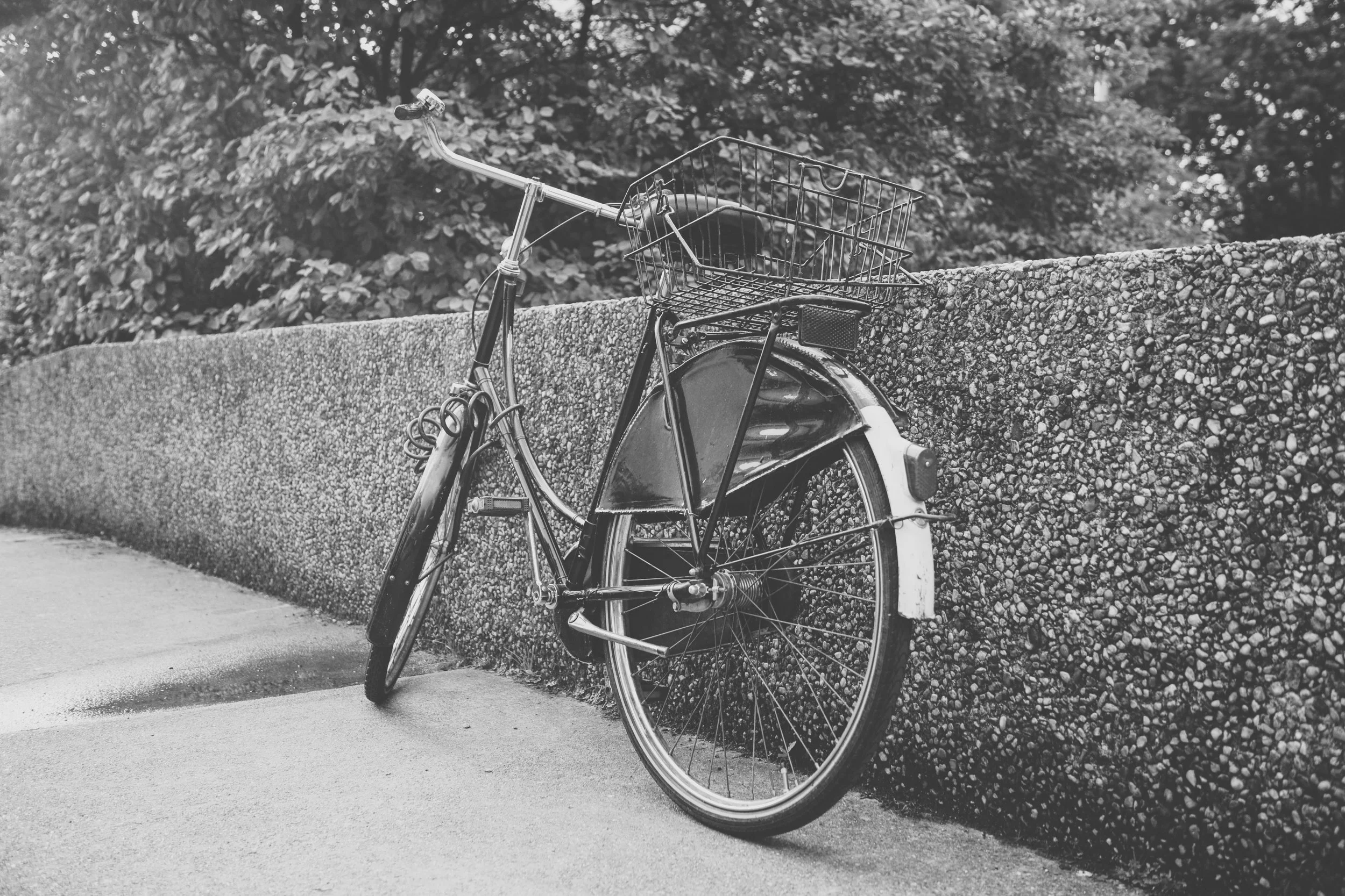 pexels-photo-114297 - fiets.jpeg
