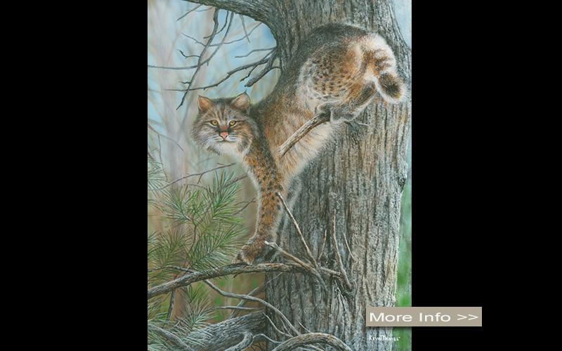 560-tangled-tree-bobcat-kevin-daniel-artist.jpg