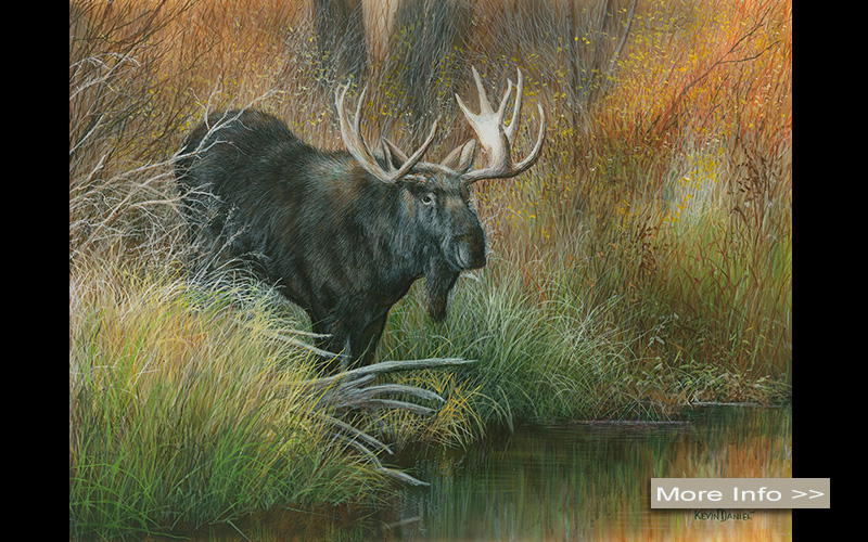 567-majestic-descent-moose-kevin-daniel-artist.jpg