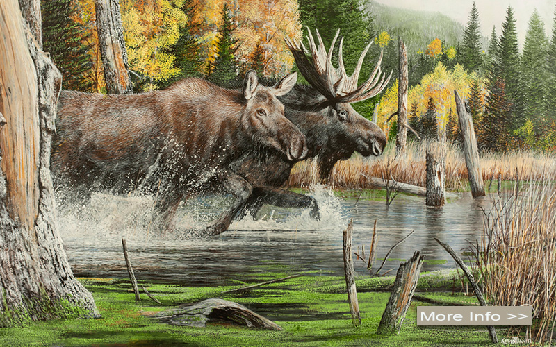 571-moose-running-kevin-daniel-artist.jpg