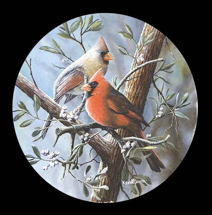 043 Cardinal copy.jpg