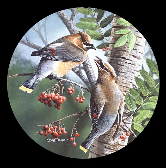 052 Cedar Waxing copy.jpg