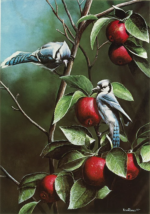 112 Summer Bluejays copy.jpg