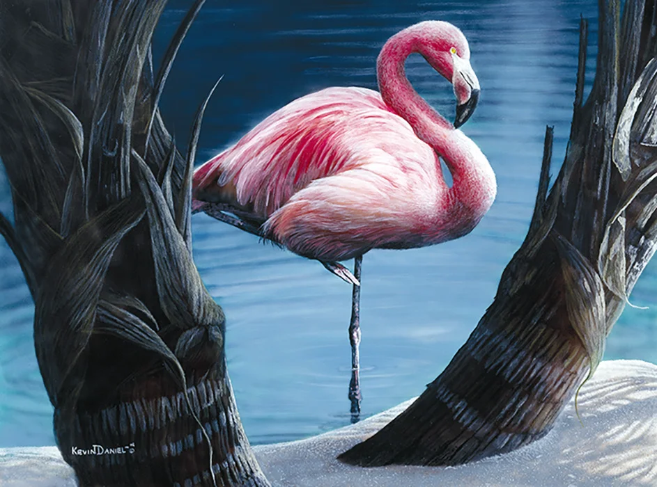  Flamingo