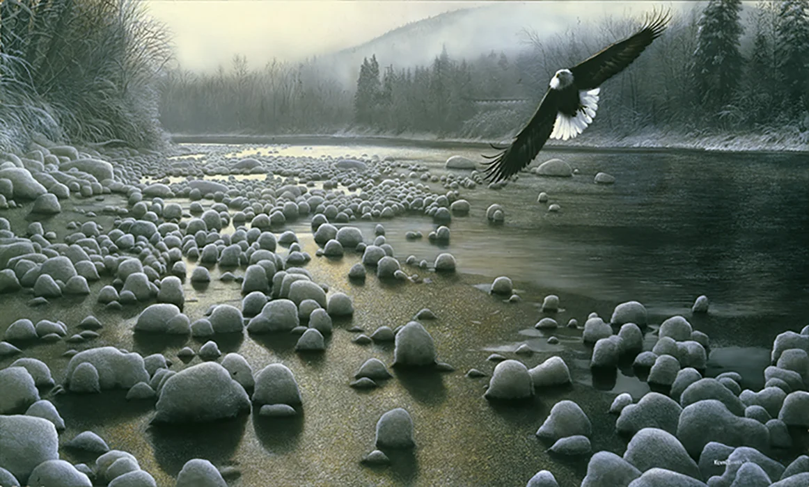 On Eagles Wings - Bald Eagle 