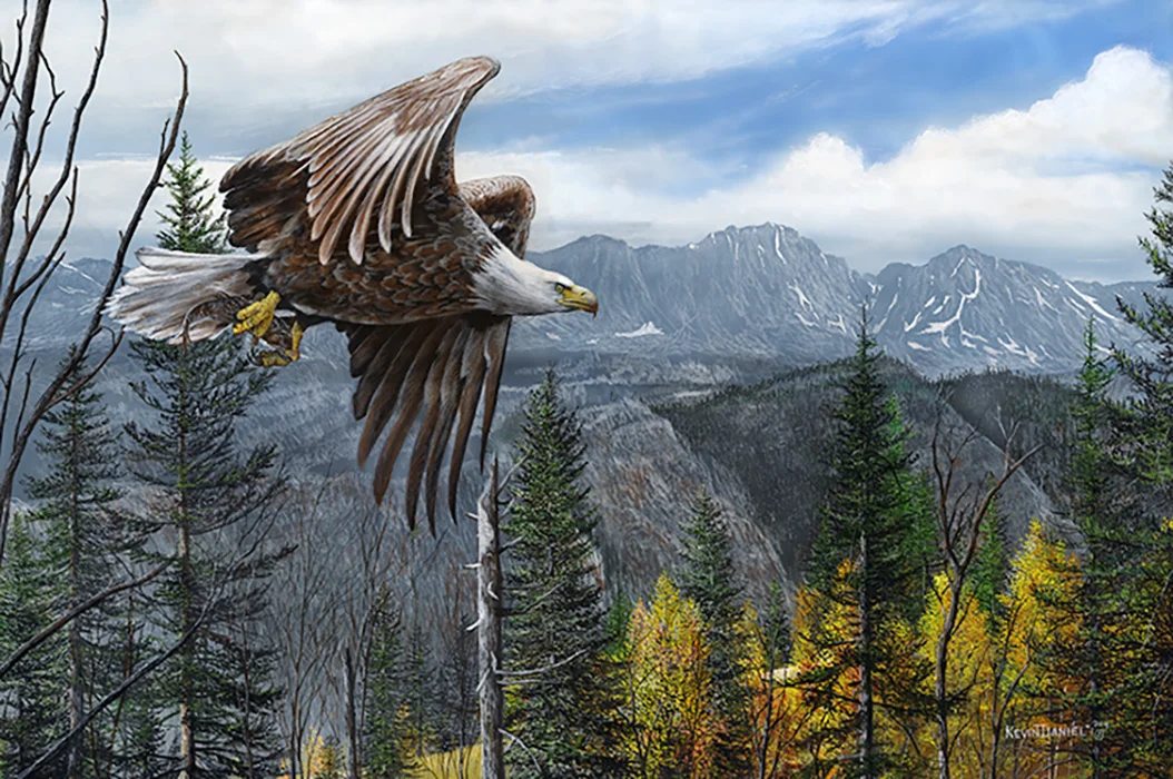 443 May Freedom Forever Fly copy.jpg