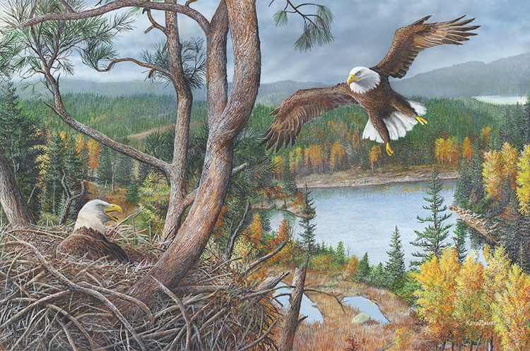  556 - Before The Storm - Bald Eagles