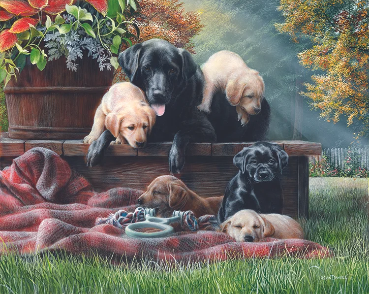 006 Cozy Moments copy.jpg