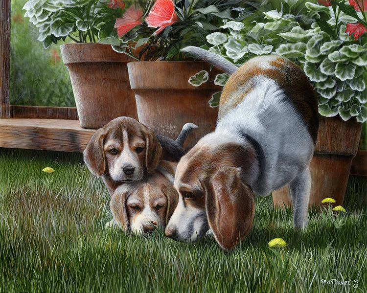  Getting The Scent - Beagles