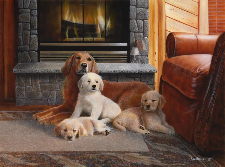  Hearth Of Gold - Golden Retrievers