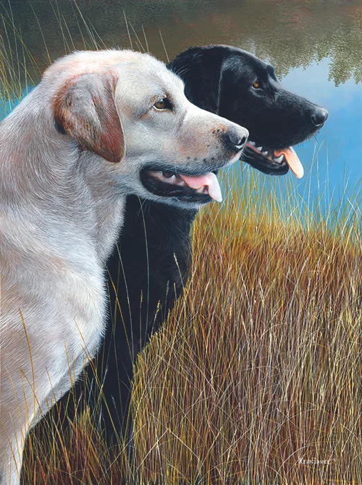  Hunting Companions - Labs