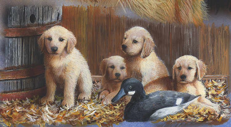 416-Golden Reteiever Pups copy.jpg