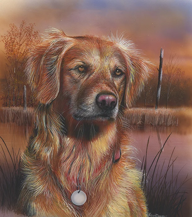  Golden Retriever Portrait