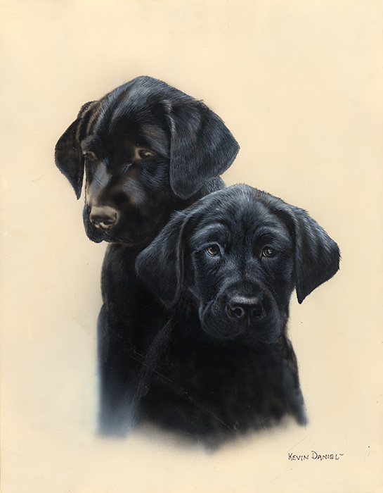 453-Lab Pups copy.jpg