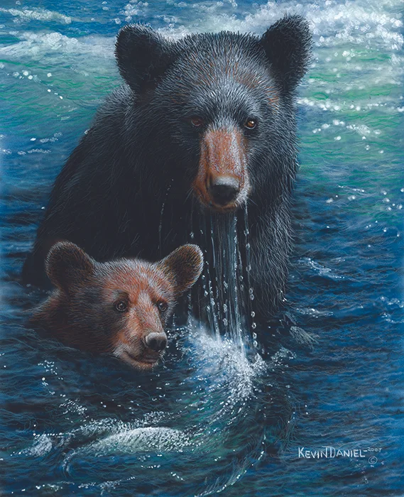 Bearly Swimming - Black Bears