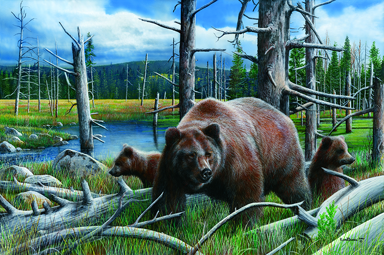 New Discoveries by Kevin Daniel Art Print Bear Wildlife Cubs Poster 11x14