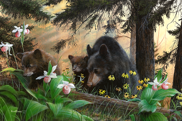 Pride &amp; Joy - Black Bear