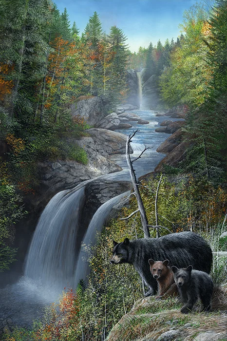 Autumn Mist - Black Bears