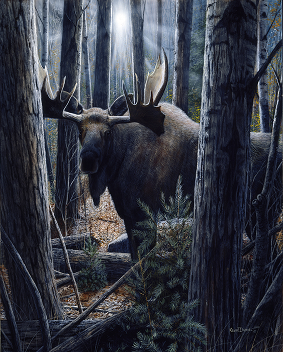 131 King Of The Northwoods.jpg