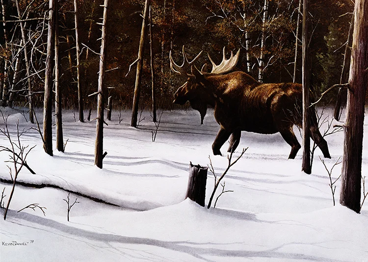 176 Winter Forage.jpg