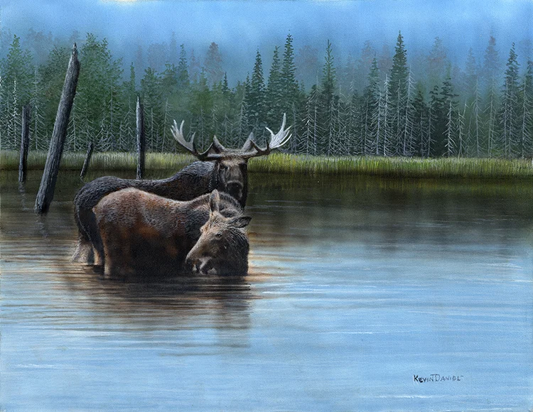 455-Moose.jpg
