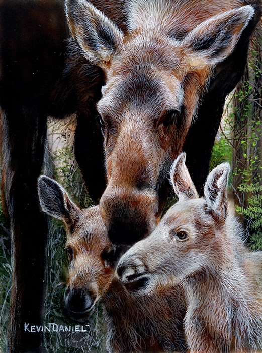 507-Northern Spirit.jpg