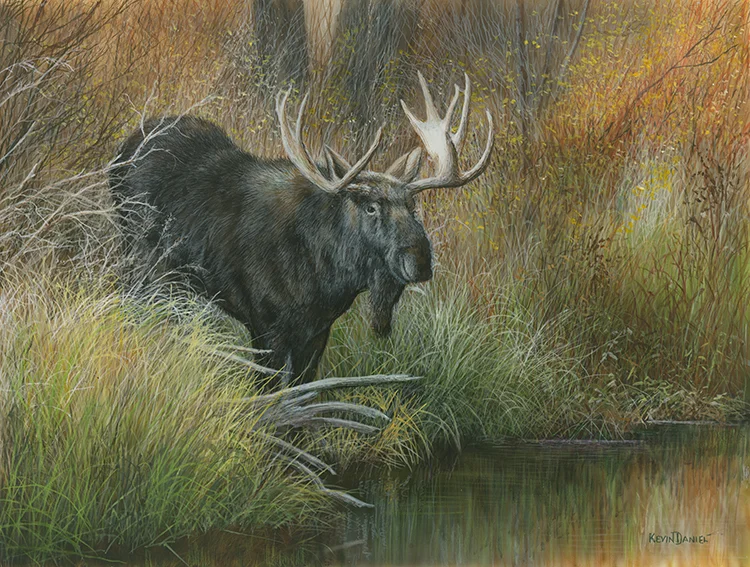 567 - Majestic Descent 