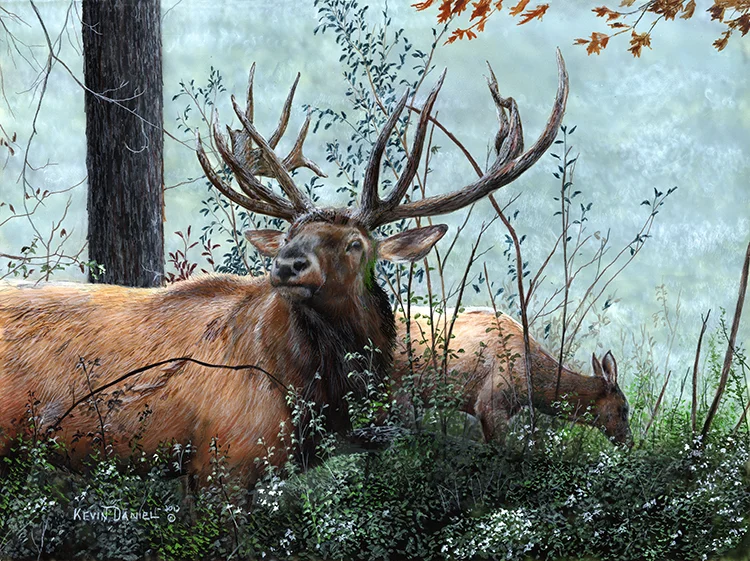 459-Elk .jpg