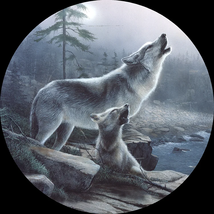067 Howling Lessons copy.jpg